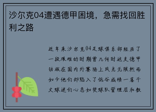 沙尔克04遭遇德甲困境，急需找回胜利之路